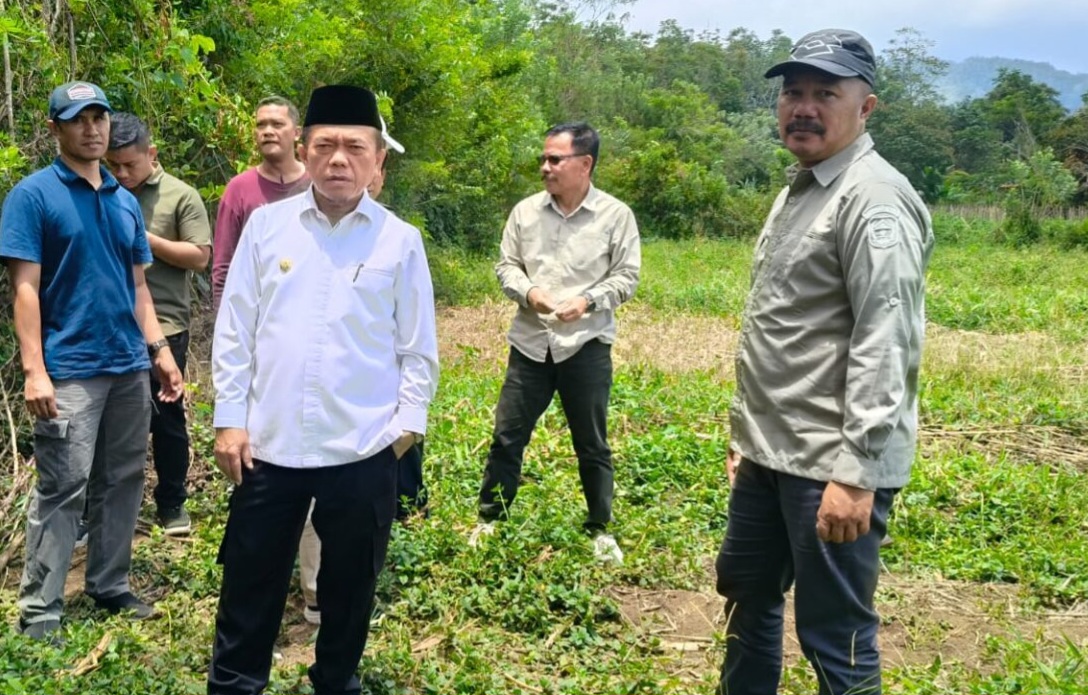 Gubernur Al Haris dan Bupati Monadi meninjau lahan untuk Sekolah Rakyat di Kerinci