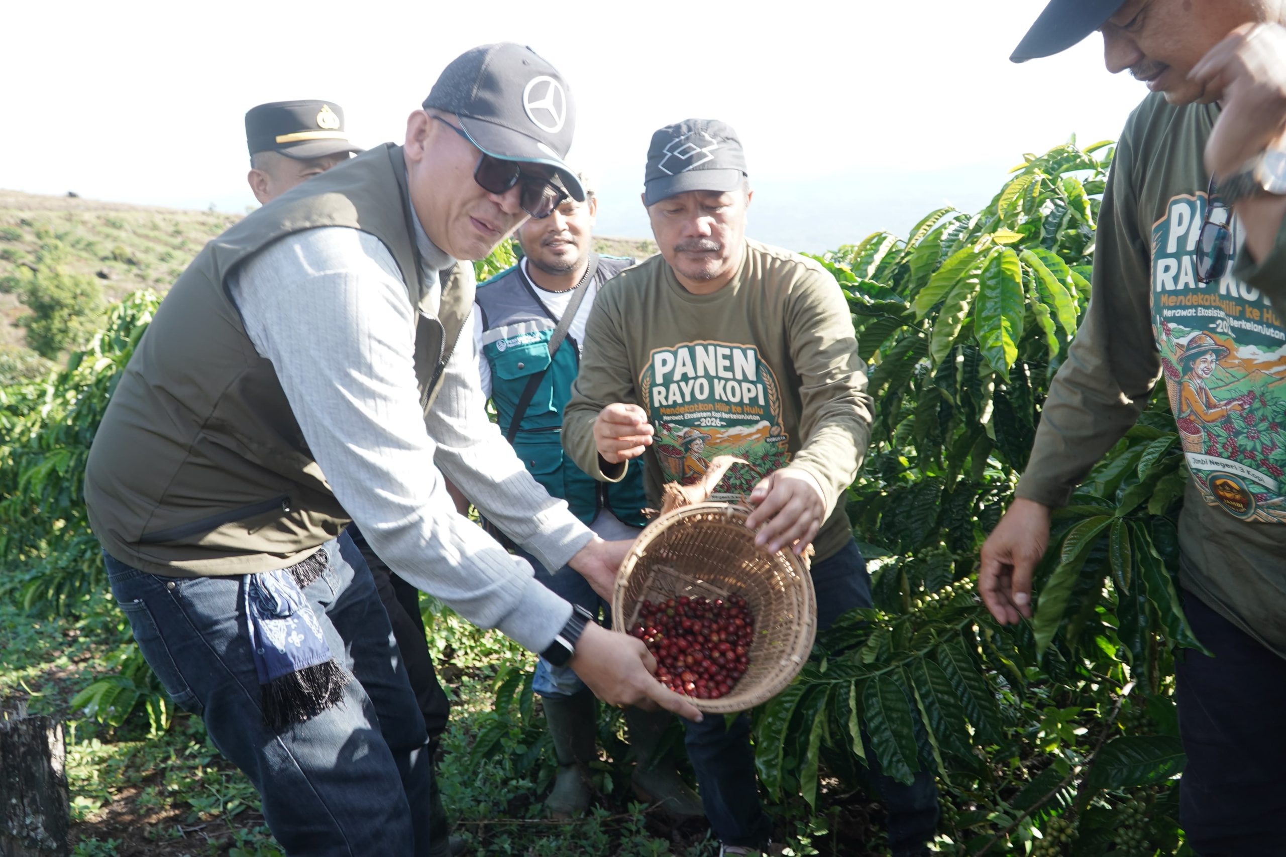 Kepala Dinas Kominfo Provinsi Jambi bersama Bupati Kerinci memanen kopi