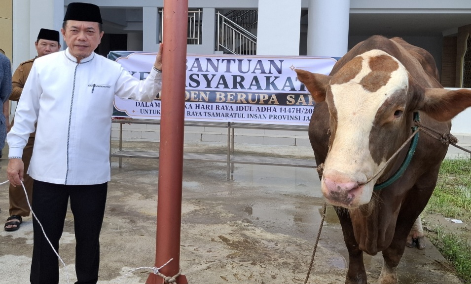 Gubernur Jambi Al Haris Serahkan sapi kurban dari Presiden Prabowo Subianto