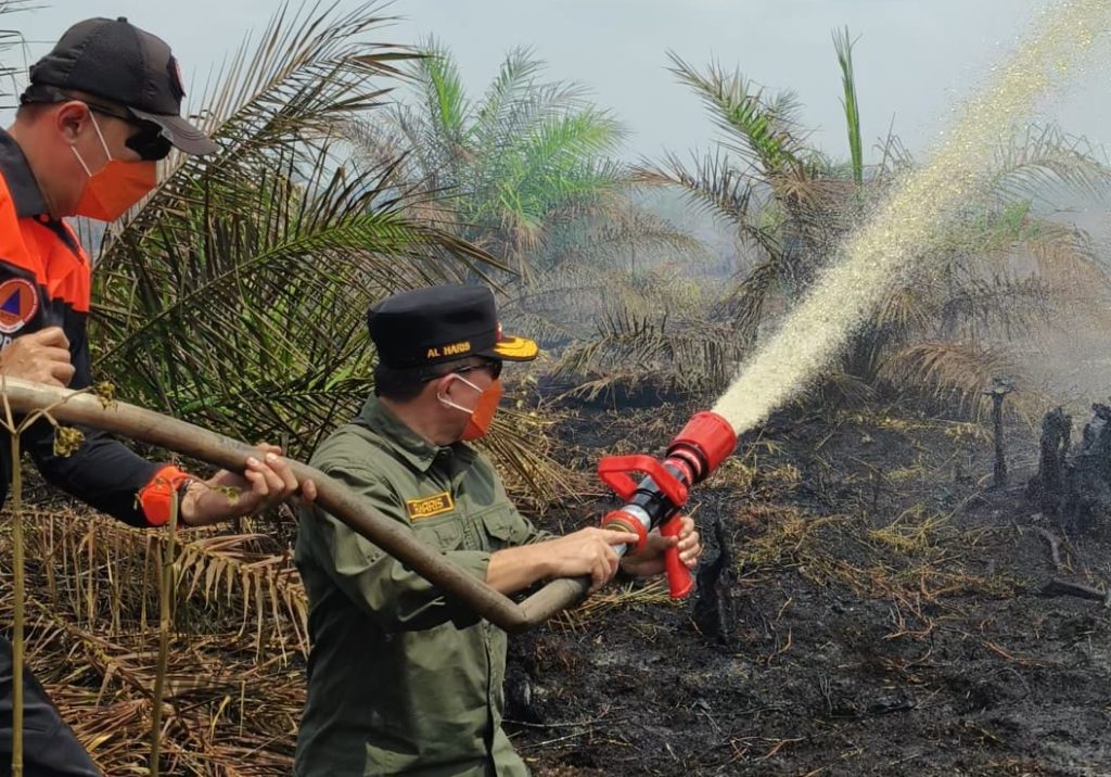 Gubernur Jambi, Al Haris padamkan api Karhutla di Kabupaten Muaro Jambi