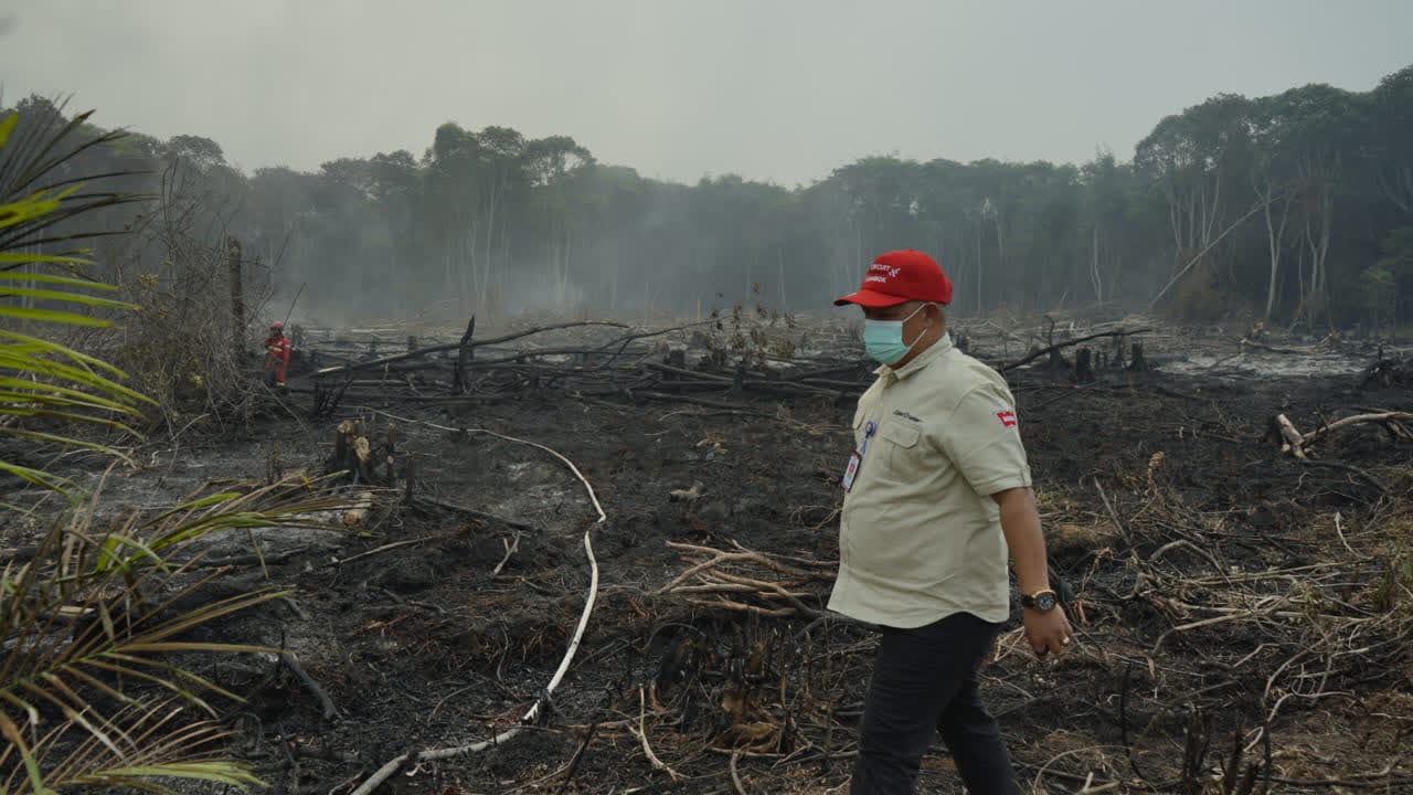 Kepala Dinas Pendidikan Provinsi Jambi, M Umar tinjau Karhutla