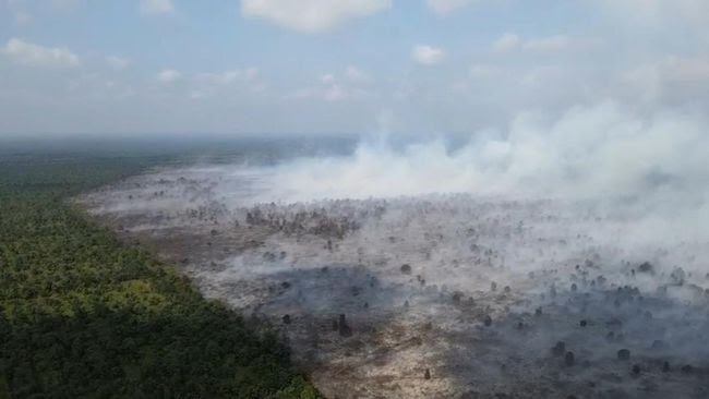 Asap di Kabupaten Muaro Jambi