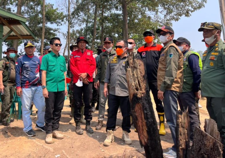 Gubernur Jambi Al Haris tinjau Karhutla di kawasan Tahura Kabupaten Batang Hari