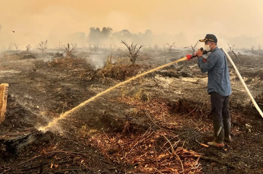 Kabid Kedaruratan dan Logistik, Andre Eko Rinjani ikut padamkan api di kawasan Tahura Orang Kayo Hitam