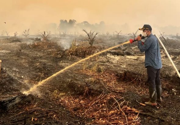 Kabid Kedaruratan dan Logistik, Andre Eko Rinjani ikut padamkan api di kawasan Tahura Orang Kayo Hitam
